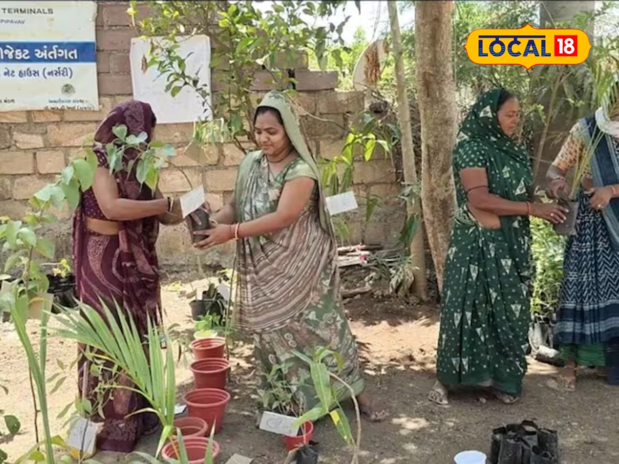 Success Story : महिलांची कमाल! 10 जणी एकत्र आल्या अन् सुरू केली नर्सरी, आता करताहेत 'इतकी' कमाई