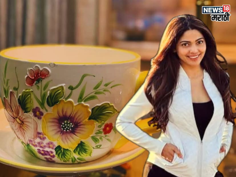 पूजाने नुकतेच बॉलिवूड अभिनेत्री तब्बू सोबतचे काही फोटो शेअर केलेत. पूजाला तब्बूसोबत पाहून तिच्या चाहत्यांनी आनंद व्यक्त केला. 