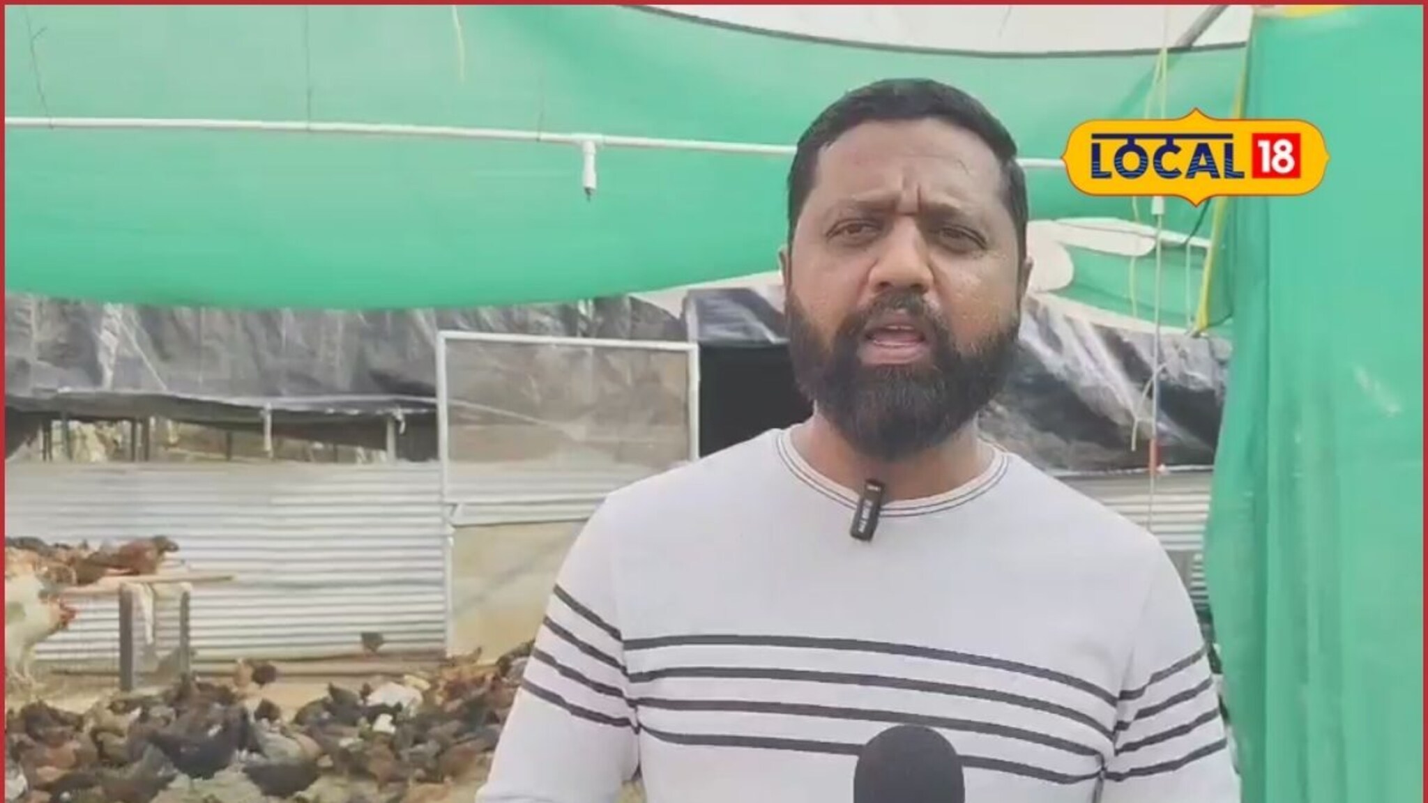 MBA तरुणानं लावलं डोकं, 1 लाख पगाराची नोकरी सोडली अन् पाळल्या कोंबड्या, कमाई किती?