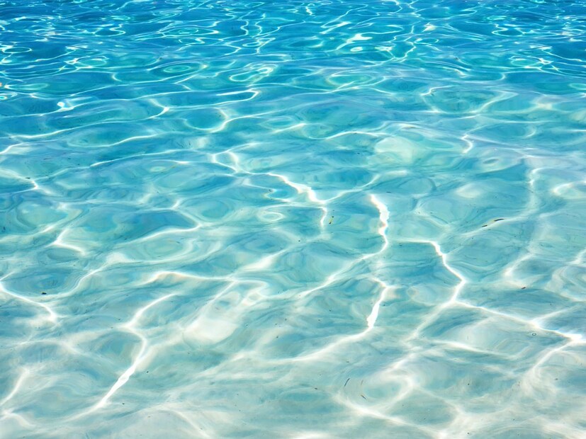 समुद्राचं निळंशार पाणी पाहिल्यानंतर डोळ्यांना एक वेगळ्याच प्रकारचा आनंद मिळतो, मन प्रसन्न होतं. निळाशार समुद्र पाहतच राहावासा वाटतो.