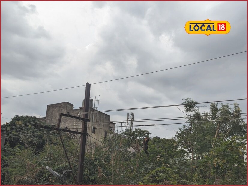 लातूर, परभणी आणि बीड या तिन्ही जिल्ह्यांमध्ये आज पावसाची शक्यता वर्तविण्यात आलेली आहे. या ठिकाणी देखील हलका ते मध्यम स्वरूपाचा पाऊस होण्याची शक्यता वर्तवण्यात आलीये. पावसाने विश्रांती घेतल्यामुळे शेतातील शेतात मशागतींच्या कामाला वेग आला आहे. 