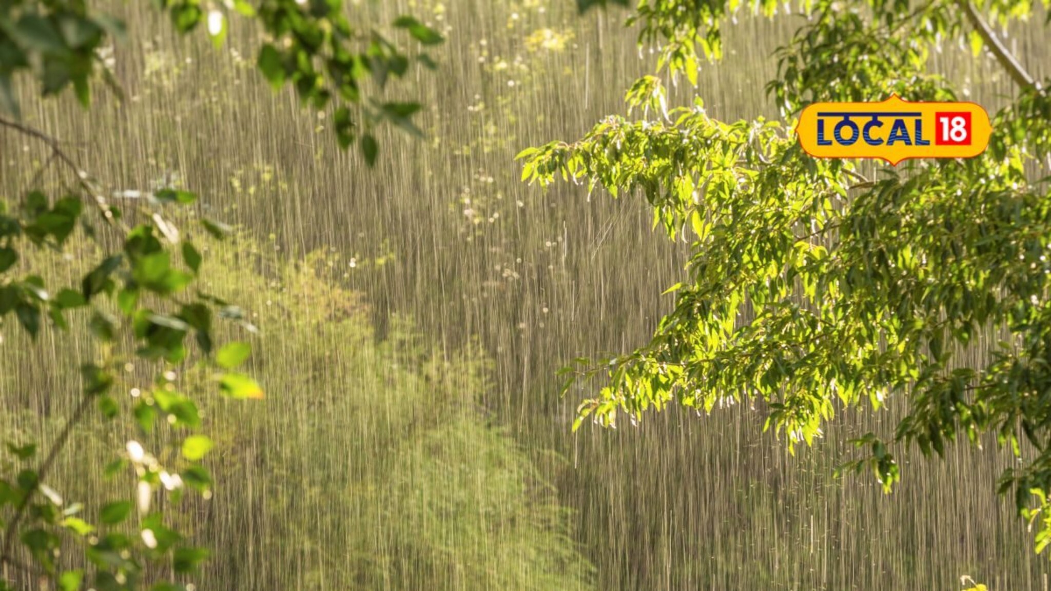Rain Alert: ताशी 50 किमी वारे अन् विजांचा कडकडाट, मराठवाड्यासाठी 24 तास धोक्याचे, हवामान विभागाकडून हायअलर्ट