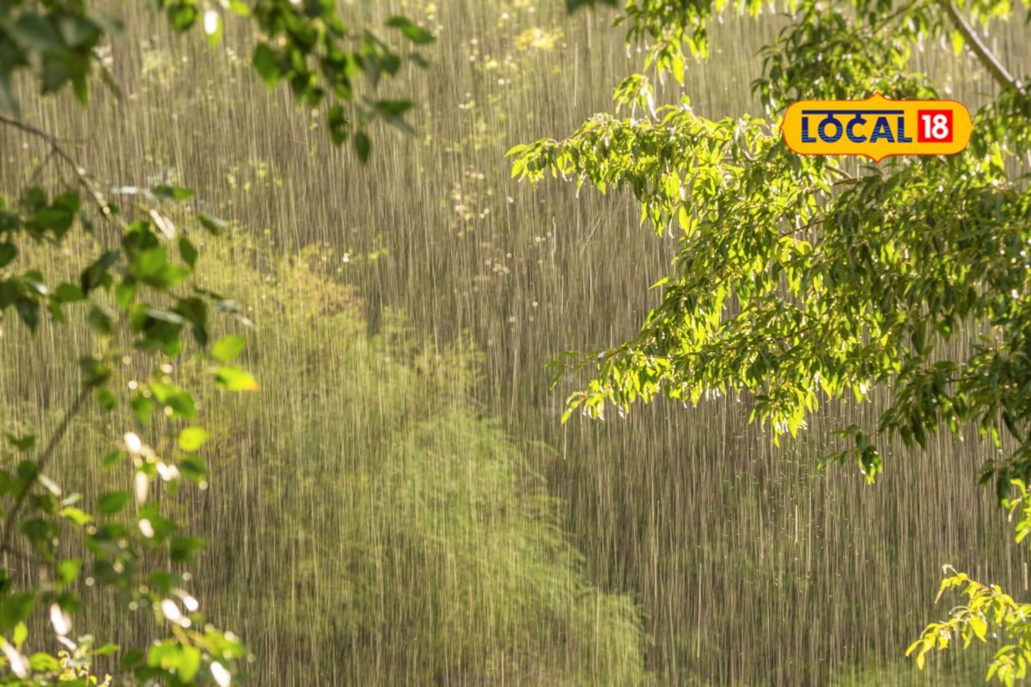 Rain Alert: ताशी 50 किमी वारे अन् विजांचा कडकडाट, मराठवाड्यासाठी 24 तास धोक्याचे, हवामान विभागाकडून हायअलर्ट