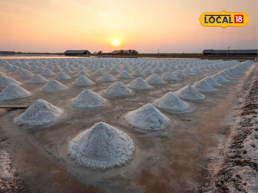  राजस्थानच्या नागौर जिल्ह्यातील नवा-कुचामन प्रदेश खूप सुंदर आहे. हा प्रदेश मीठ उत्पादनासाठी खूप प्रसिद्ध आहे. सांभरप्रमाणे येथेही मोठे मीठ बनवणारे युनिट्स आहेत. दरवर्षी हजारो टन मीठ येथे तयार होते.