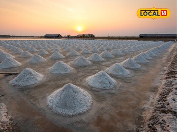 मीठ कसं बनवलं जातं? मीठ शेतीसाठी 'हे' ठिकाण आहे प्रसिद्ध, अशी आहे संपूर्ण... मीठ कसं बनवलं जातं? मीठ शेतीसाठी 'हे' ठिकाण आहे प्रसिद्ध, अशी आहे संपूर्ण...