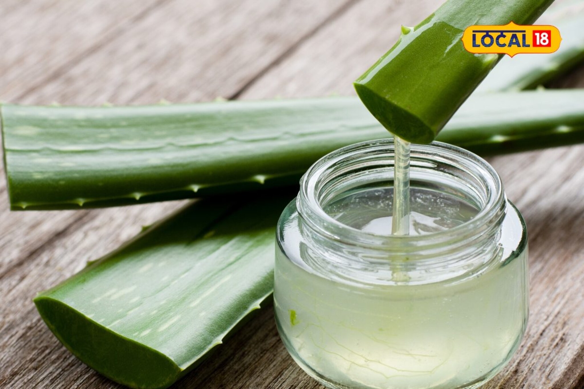 कोरफड आहे अमृत समान! त्वचेसाठी वरदान अन् पोटासाठी रामबाण; फायदे ऐकून व्हाल थक्क!