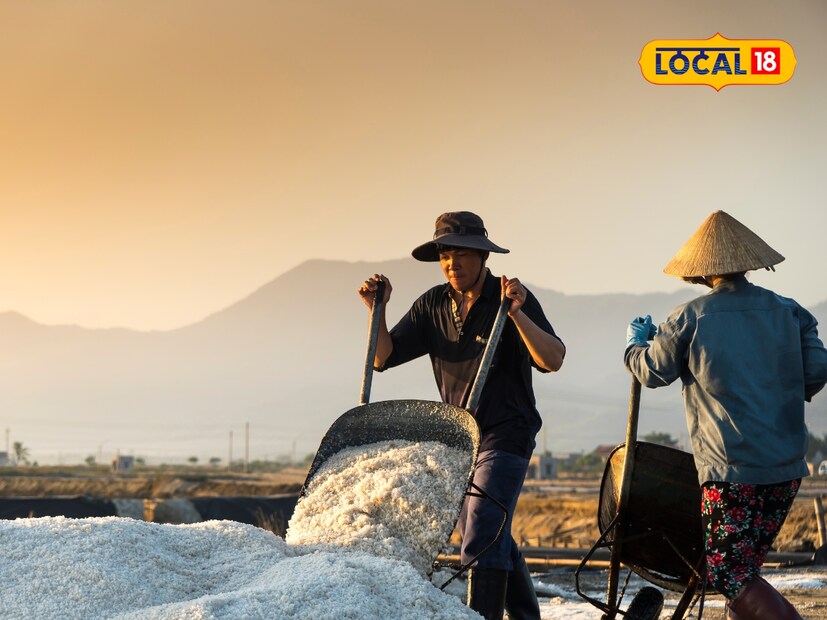  सध्या खुर्दा परिसरातील मीठ युनिटमध्ये 100 ते 120 स्थानिक कामगार काम करत आहेत. हंगामात ही संख्या 150 पेक्षा जास्त होते. त्यांच्या मेहनतीमुळे हा परिसर कुचामनची आर्थिक कणा बनला आहे.