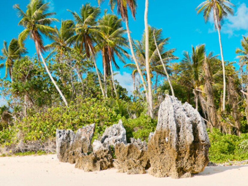  नावरूचे एकूण क्षेत्रफळ फक्त 21 चौरस किलोमीटर आहे. राजधानीशिवाय राज्यकारभार चालणारा हा जगातील एकमेव प्रजासत्ताक देश आहे. इतिहासकारांच्या मते, एकेकाळी येथे स्थानिक लोक त्यांच्या परंपरेनुसार राज्य करत होते.