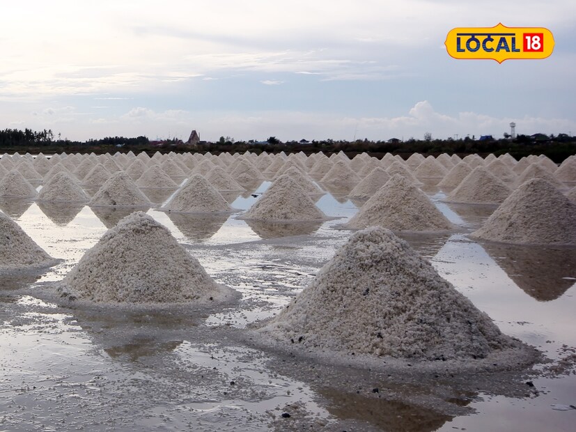  सध्या 100 ते 120 स्थानिक कामगार मीठ युनिटमध्ये काम करत आहेत. एकूण, दररोज हजारो लोकांना येथे रोजगार मिळतो. हा मीठ तलाव लहान-लहान भागांमध्ये विभागलेला आहे, ज्यात पांढऱ्या मिठाचे ढिगारे बनवले आहेत. येथील कामगार दूरवर पसरलेल्या या ढिगाऱ्यांमधून मीठ काढतात.