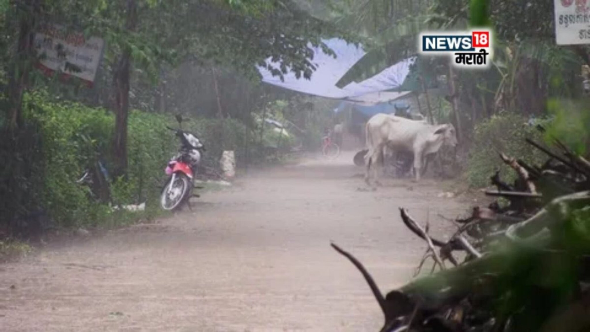 कृषी हवामान : मॉन्सून अॅक्शन मोडवर! पुढील 24 तास धोक्याचे, या जिल्ह्यांना ऑरेंज  अलर्ट