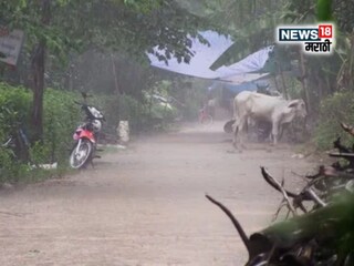 कृषी हवामान बातम्या