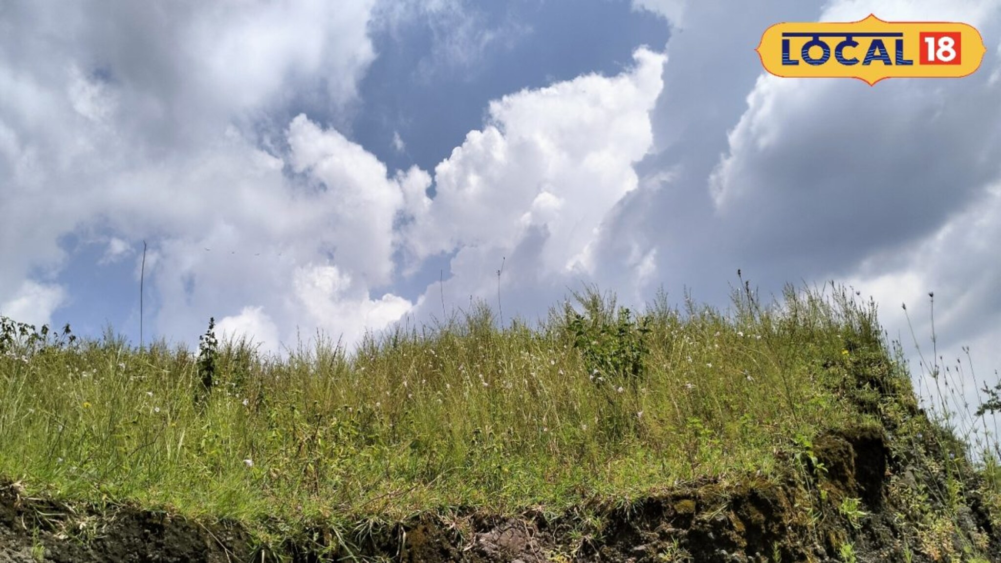 Pune Weather : पुण्यात ढगाळ वातावरण, सातारा, सांगलीचं काय? पश्चिम महाराष्ट्रातील हवामानाचा अंदाज