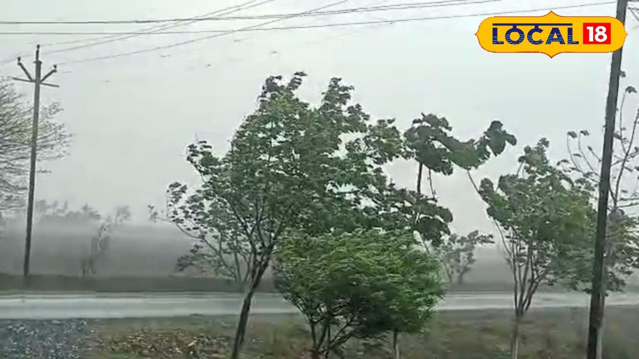 Marathwada Rain: प्रतीक्षा संपली! विजांचा कडकडाट होणार, मराठवाड्यात पाऊस बरसणार, 4 जिल्ह्यांना यलो अलर्ट