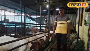 वर्षाला