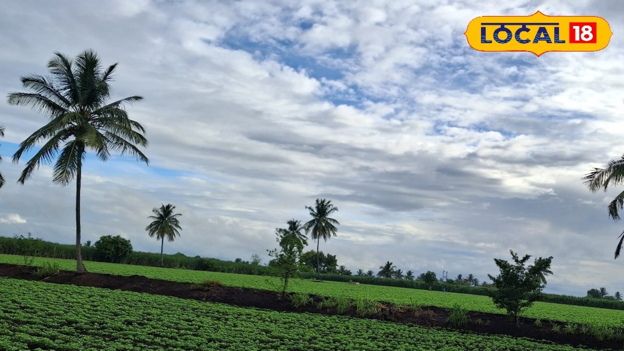 पावसाची उघडीप, पण IMD चा धोक्याचा इशारा, पुणे ते कोल्हापूर कसं असेल हवामान?