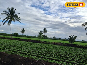 Marathwada Rain: मराठवाड्यात पाऊस कधी येणार? हवामान विभागाकडून महत्त्वाची अपडेट