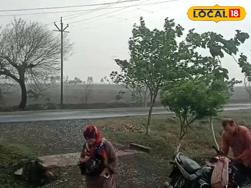 मराठवाड्यातील काही भागात आज पावसाची शक्यता आहे. छत्रपती संभाजी नगर, जालना, परभणी, हिंगोली आणि नांदेड या पाच जिल्ह्यांना हवामान विभागाने येलो अलर्ट जरी केला आहे.या पाचही जिल्ह्यात 40 ते 50 किमी वेगाने वारे वाहून विजांच्या कळकटासह हलका ते मध्यम पाऊस होऊ शकतो. 