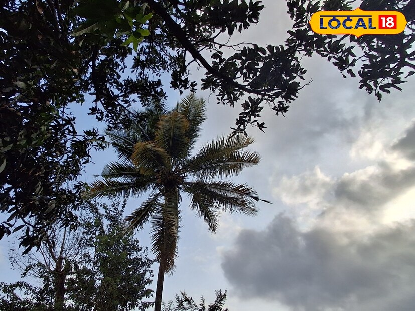 मराठवाड्यात मागील अनेक दिवसांपासून पाऊस नसल्याने शेतकरी आभाळाकडे आशेने पाहत आहेत. अनेक शेतकऱ्यांनी पेरण्या केल्या असून काही शेतकऱ्यांच्या पेरण्या देखील खोळंबल्या आहेत. आता पुन्हा पावसाचा इशारा असल्याने शेतकऱ्यांना दिलासा मिळणार आहे. 