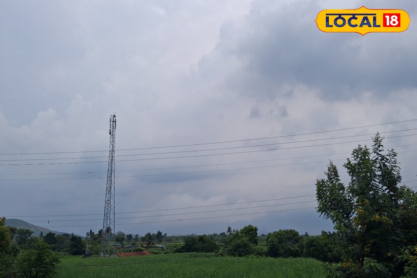 पुणे जिल्ह्यात मागील 24 तासात 29.8 अंश सेल्सिअस कमाल तापमानाची नोंद झाली. पुढील 24 तासात कमाल तापमान 31 अंशावर राहिल. पुण्यामध्ये पाऊस काहीशी उघडीप घेण्याची शक्यता असली तरीही पुणे घाटमाथ्यावर मात्र जोरदार पावसाची शक्यता असल्याने सतर्कतेचा ऑरेंज अलर्ट देण्यात आला आहे. 