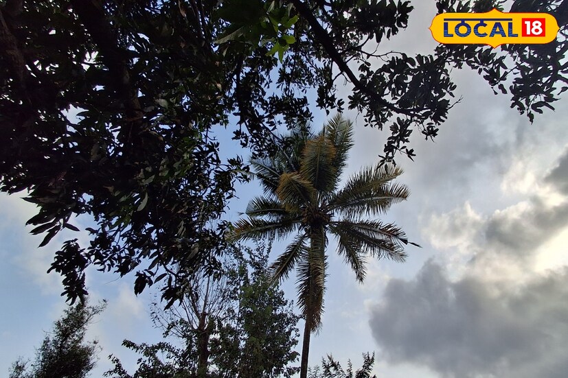 गेल्या 24 तासात साताऱ्यातील कोयना येथे उच्चांकी 130 मिलिमीटर पावसाची नोंद झाली. तसेच सातारा जिल्ह्यात 11 मिलीमीटर पाऊस नोंदविण्यात आला. पुढील 24 सातारा जिल्ह्यात ढगाळ आकाशासह हलका पाऊस असेल. मात्र सातारा घाटमाथ्यावर जोरदार पावसाची शक्यता असल्याने हवामान विभागाकडून ऑरेंज अलर्ट देण्यात आला आहे.