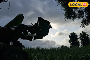 विजांचा कडकडाट होणार, या भागाला झोडपणार, पुणे ते कोल्हापूर आजचा हवामान अंदाज विजांचा कडकडाट होणार, या भागाला झोडपणार, पुणे ते कोल्हापूर आजचा हवामान अंदाज