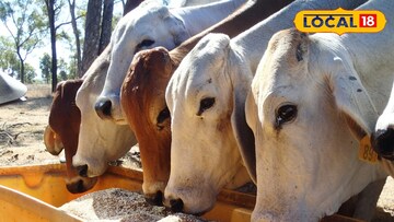 शेतकऱ्यांनो,