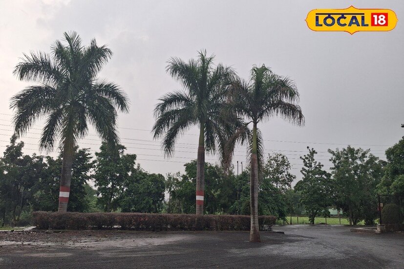 सांगली जिल्ह्यात गेल्या 24 तासांत 2.1 मिलिमीटर पावसाची नोंद झाली. आज जिल्ह्यात हलक्या पावसाचा अंदाज आहे. यावेळी जिल्ह्यातील कमाल तापमान 30 तर किमान तापमान 23 अंश सेल्सिअस इतके राहील.