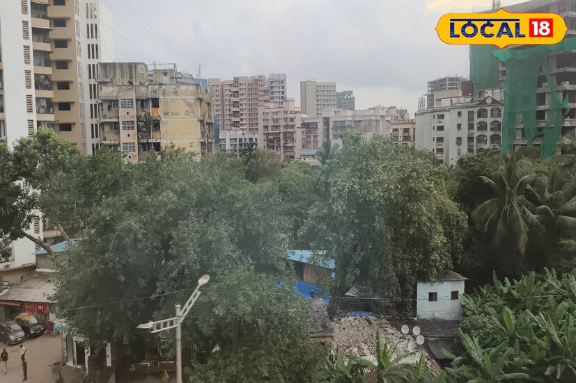 आज 25 जून रोजी नवी मुंबई आणि ठाणे जिल्ह्यांत ढगाळ वातावरण राहील. आज दिवसभरात मुसळधार ते अतिमुसळधार पावसाचा अंदाज असून हवामान विभागाने ऑरेंज अलर्ट जारी केला आहे. सकाळपासूनच नेरूळ, वाशी, पनवेल, सीवुड्स, खारघर, बेलापूर या नवी मुंबईतील भागांत पावसाच्या रिमझिम सरी सुरु राहतील. संध्याकाळी काही भागांमध्ये विजांचा कडकडाट होऊन पावसाचा जोर वाढू शकतो.