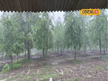 महिनाअखेर सुट्टी, मराठवाड्यात जोरदार पाऊस कधी? हवामान विभागाचं महत्त्वाचं अपडेट