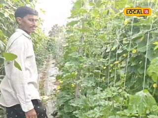 Modern Farming