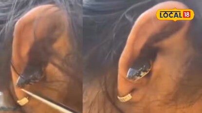 Snake in ear Snake in ear