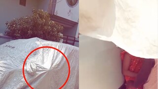 Sri Ganganagar viral video