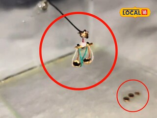 World's smallest justice scale