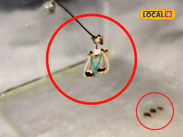 World's smallest justice scale