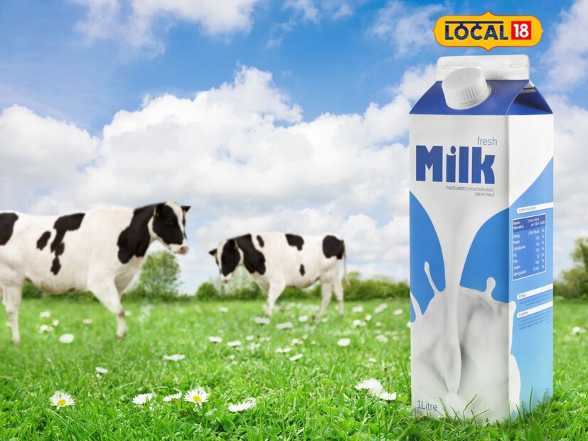  दूध पिणे हे आपल्या आरोग्यासाठी अत्यंत फायदेशीर आहे. दुधामध्ये भरपूर प्रमाणात कॅल्शियम आणि इतर पोषक घटक असतात जे आपले आरोग्य चांगले ठेवायला मदत करतात. 