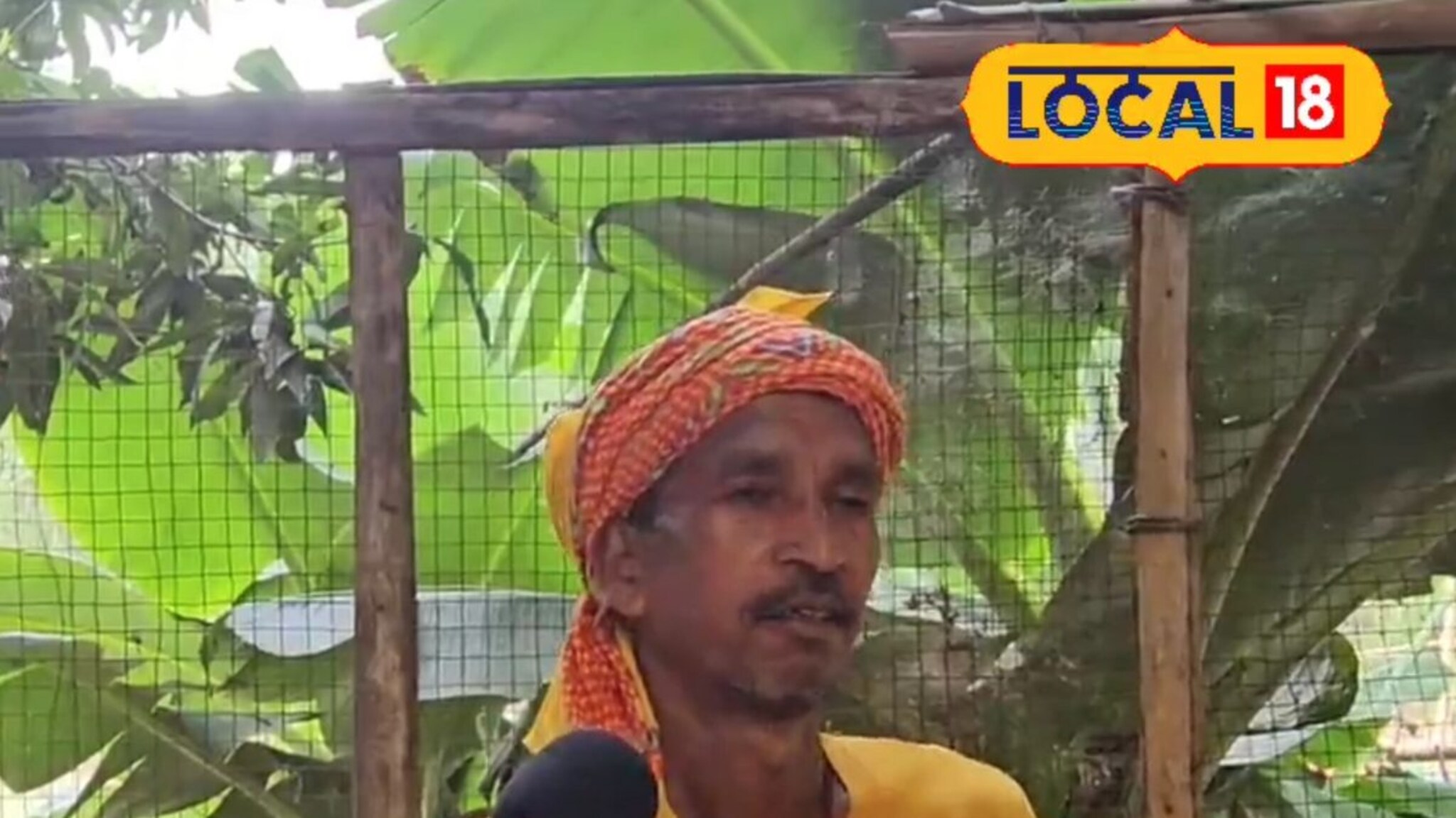 शेतकऱ्याची कमाल! शेणाशिवाय बनवलं सेंद्रिय खत; सुधारला जमिनीचा पोत अन् वाढलं उत्पादन