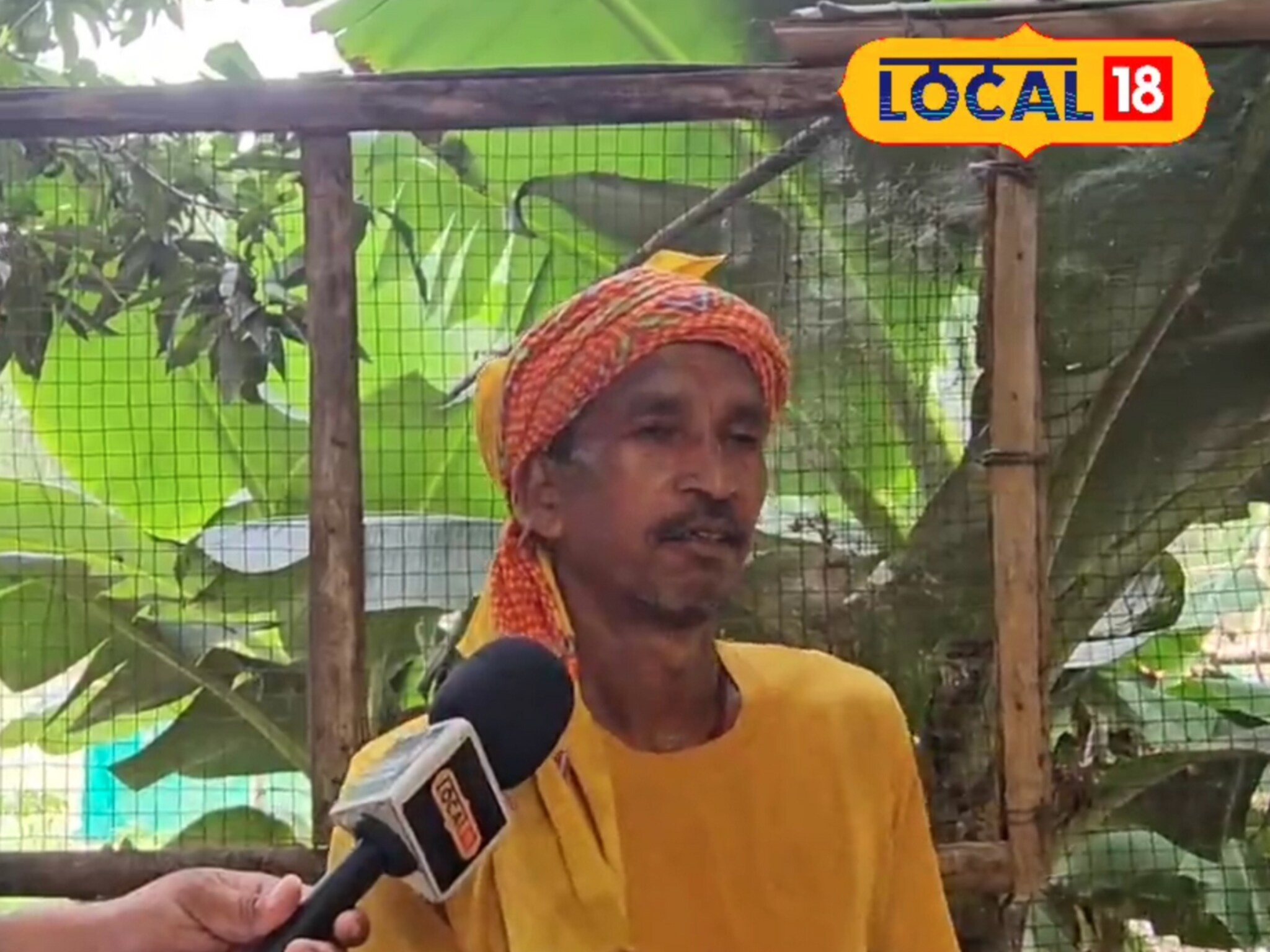 शेतकऱ्याची कमाल! शेणाशिवाय बनवलं सेंद्रिय खत; सुधारला जमिनीचा पोत अन् वाढलं उत्पादन