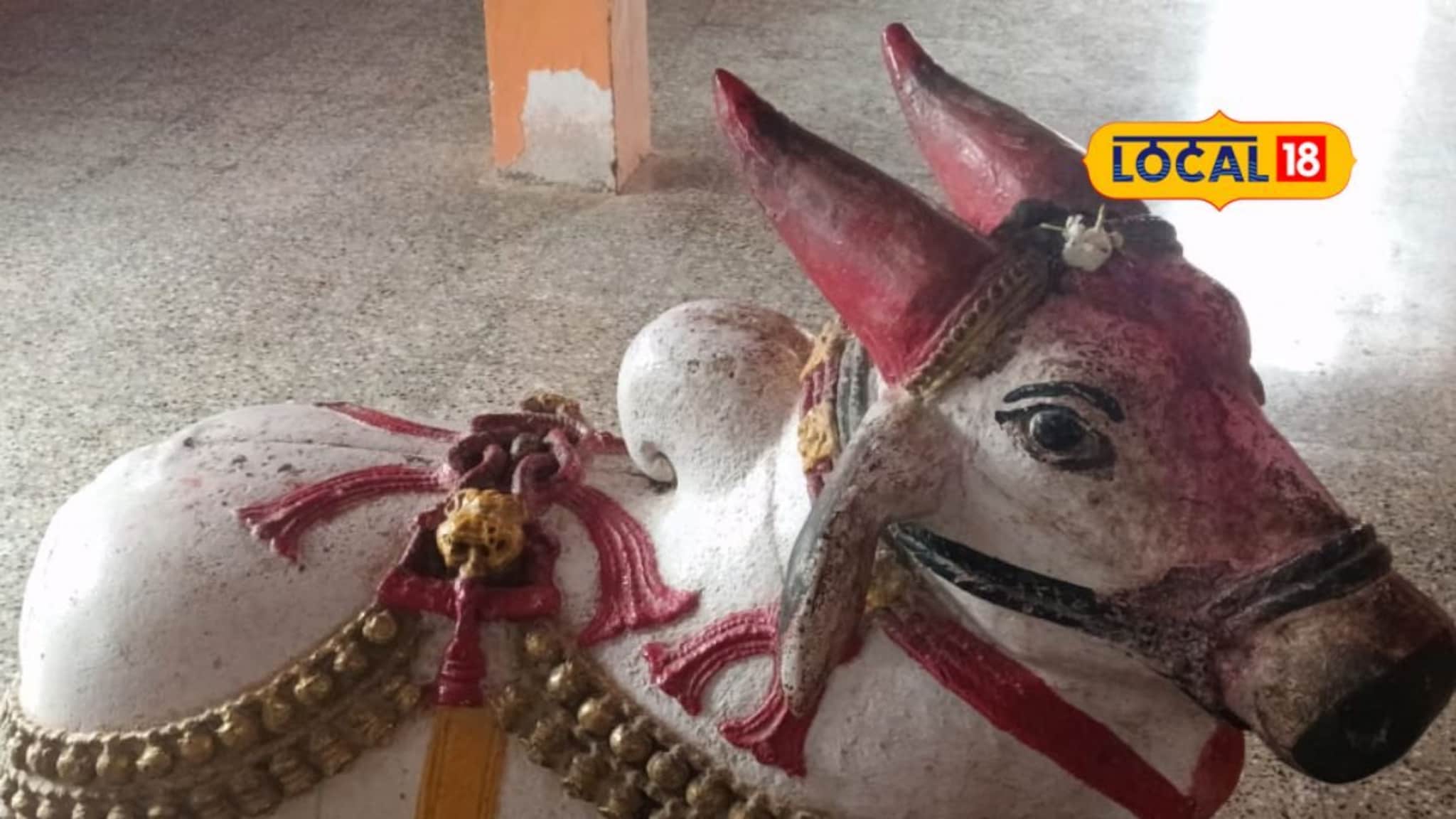 Hanuman Temple: कधी बघितला का? हनुमानाच्या मंदिरात नंदी, असं दृश्य असणारं महाराष्ट्रातील हे गाव, Video