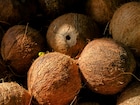 Coconut : डायबेटीस असलेले लोक कच्चा नारळ खाऊ शकतात का? डॉक्टरांचं उत्तर इथे वाचा