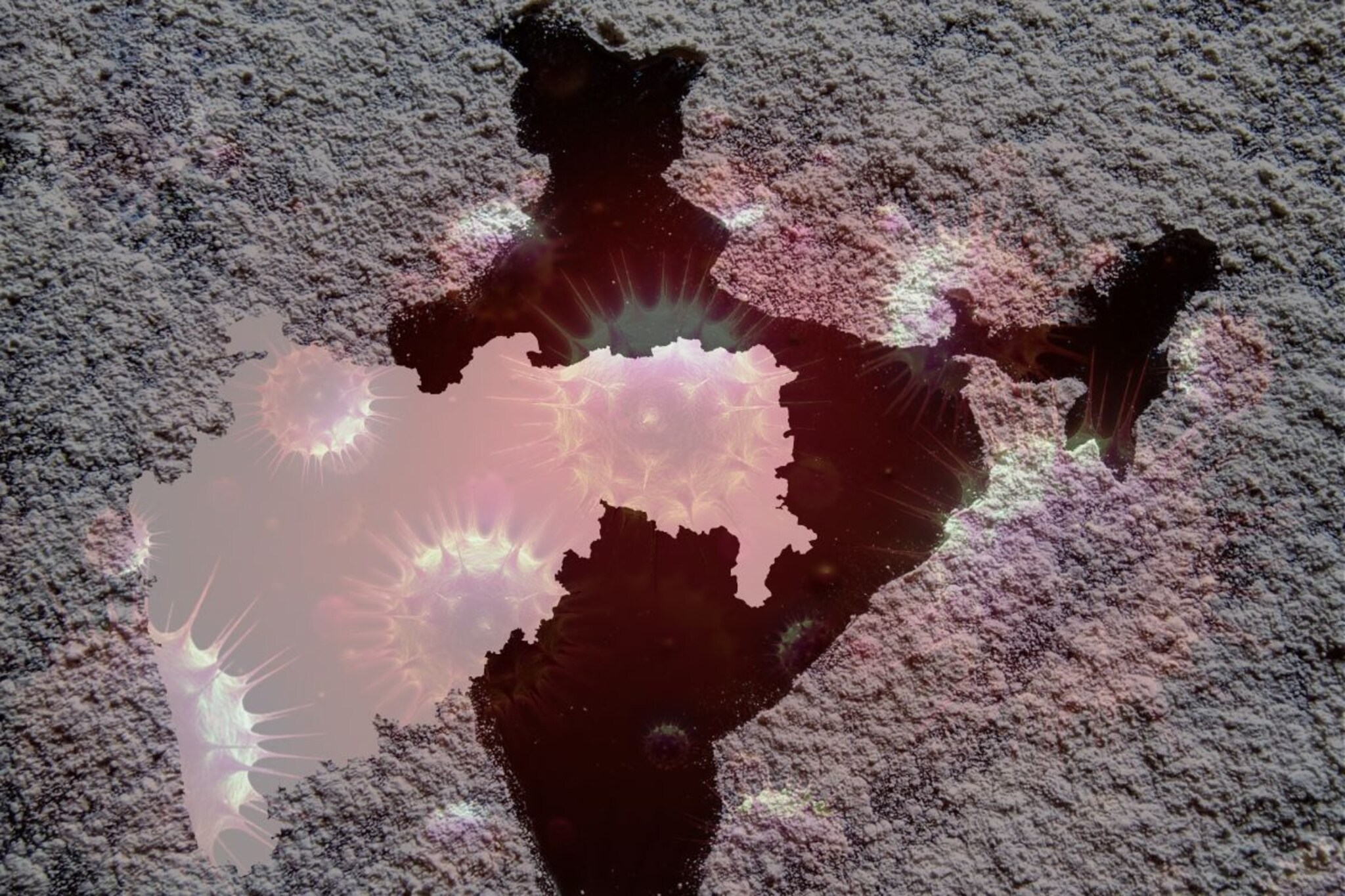 राज्यातील 5 महत्त्वाच्या शहरात 'कोरोना अटॅक', पुन्हा लॉकडाऊन लागणार?