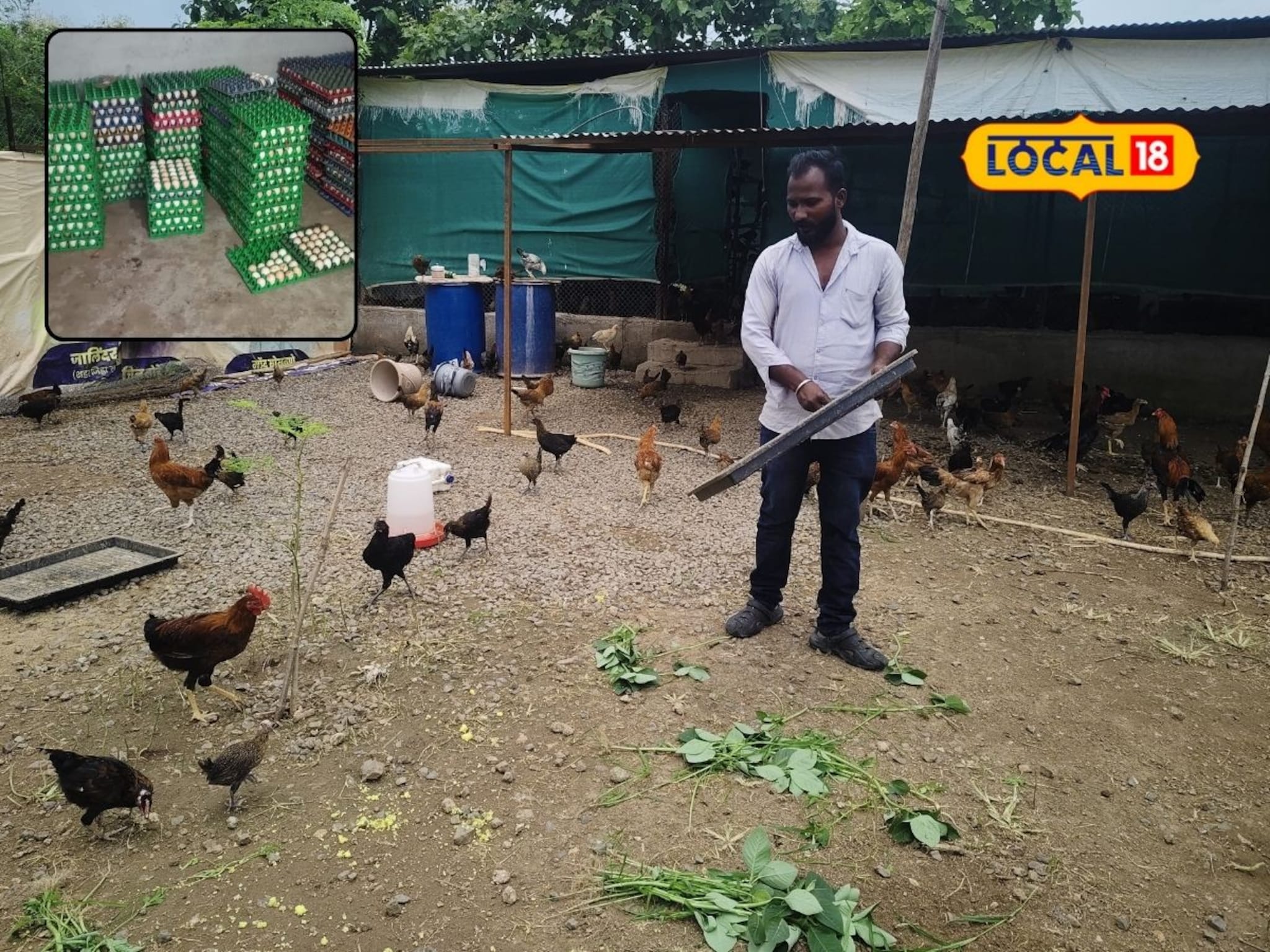 नोकरी सोडली, तरुण करतोय आता गावरान अंड्यांची विक्री, महिन्याला होते इतकी कमाई