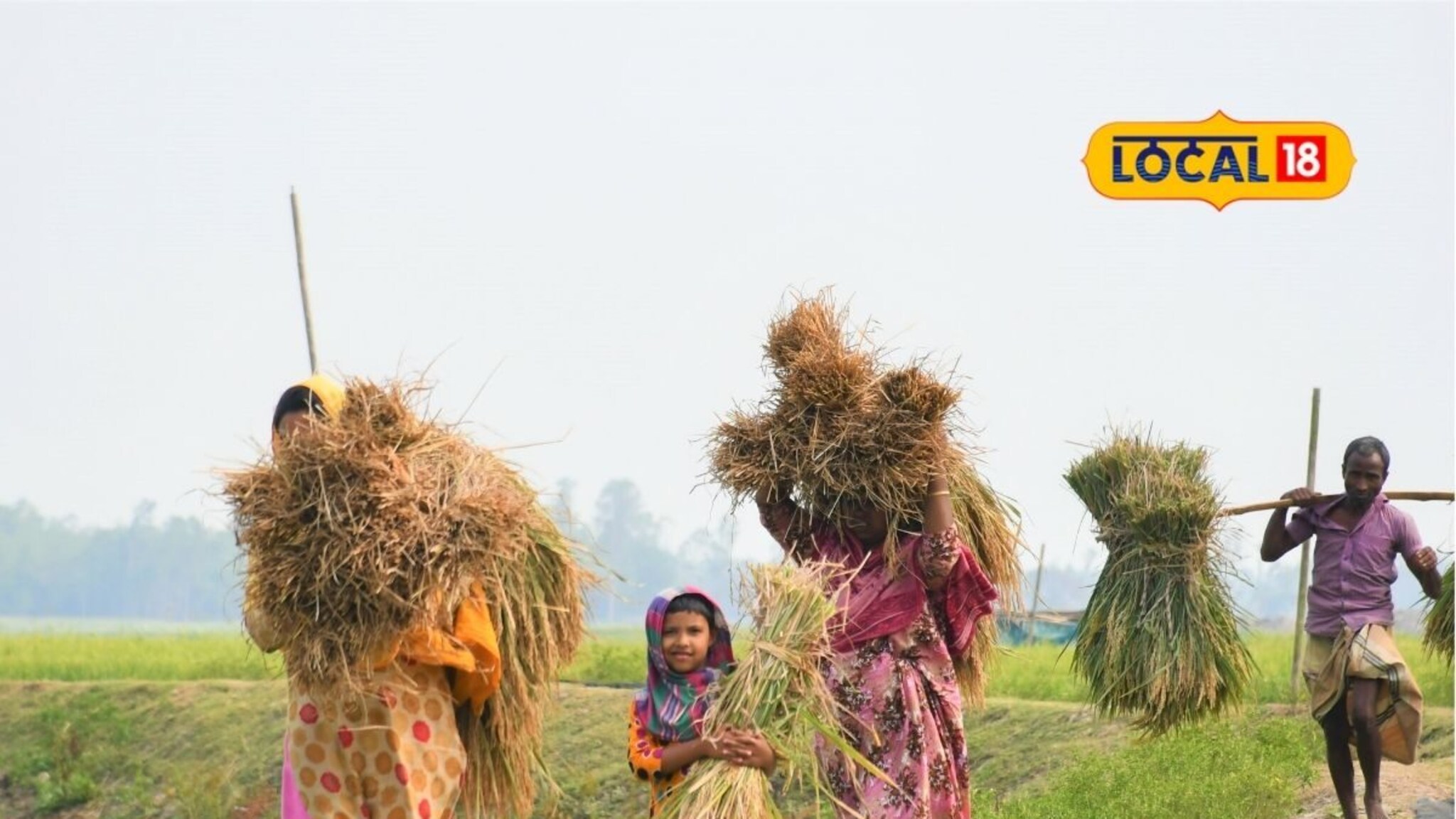 Farmer Scheme: अपघात असो की नैसर्गिक आपत्ती, त्या शेतकऱ्याच्या कुटुंबाला मिळणार 2 लाख अनुदान!