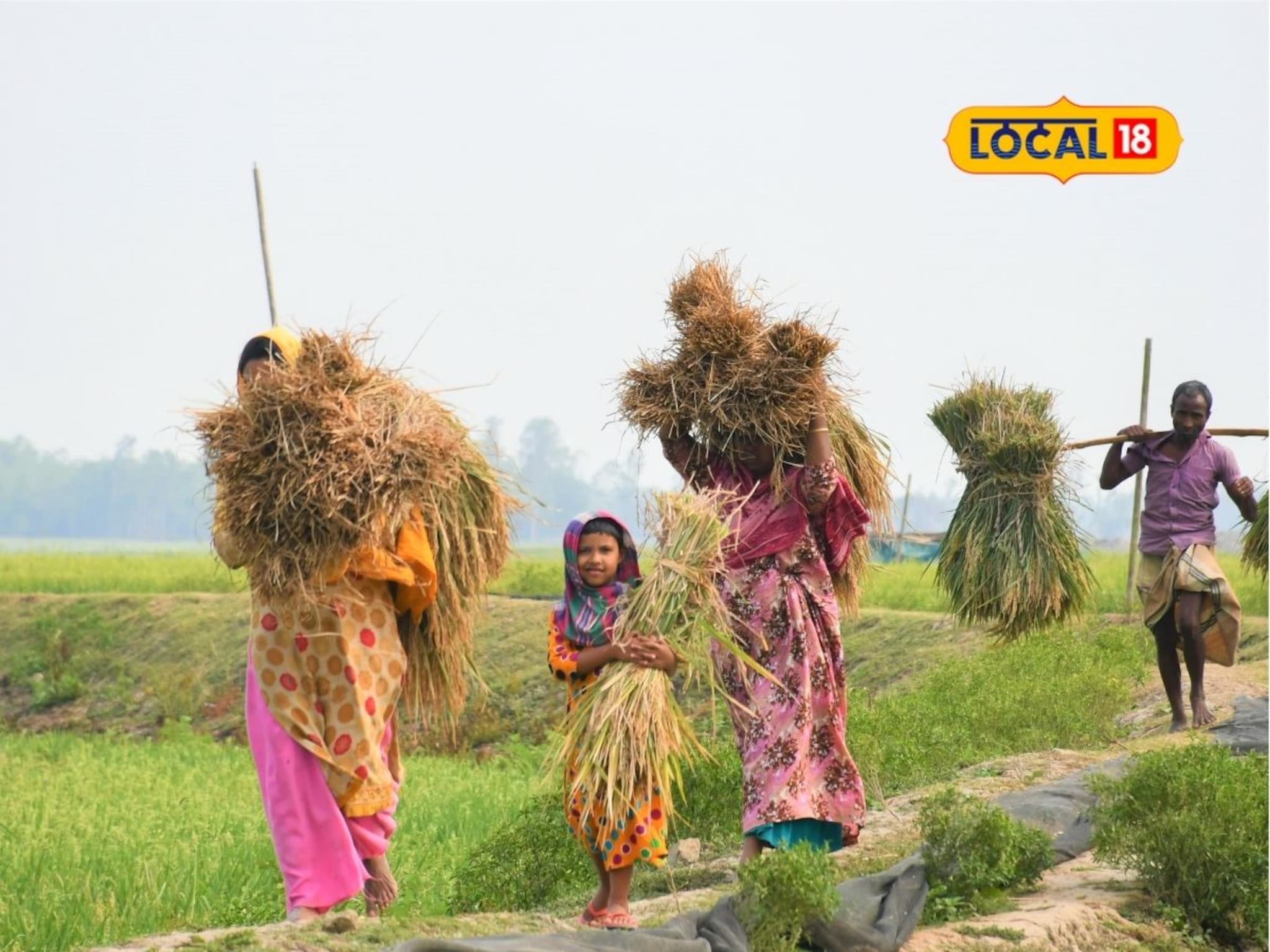 Farmer Scheme: अपघात असो की नैसर्गिक आपत्ती, त्या शेतकऱ्याच्या कुटुंबाला मिळणार 2 लाख अनुदान!