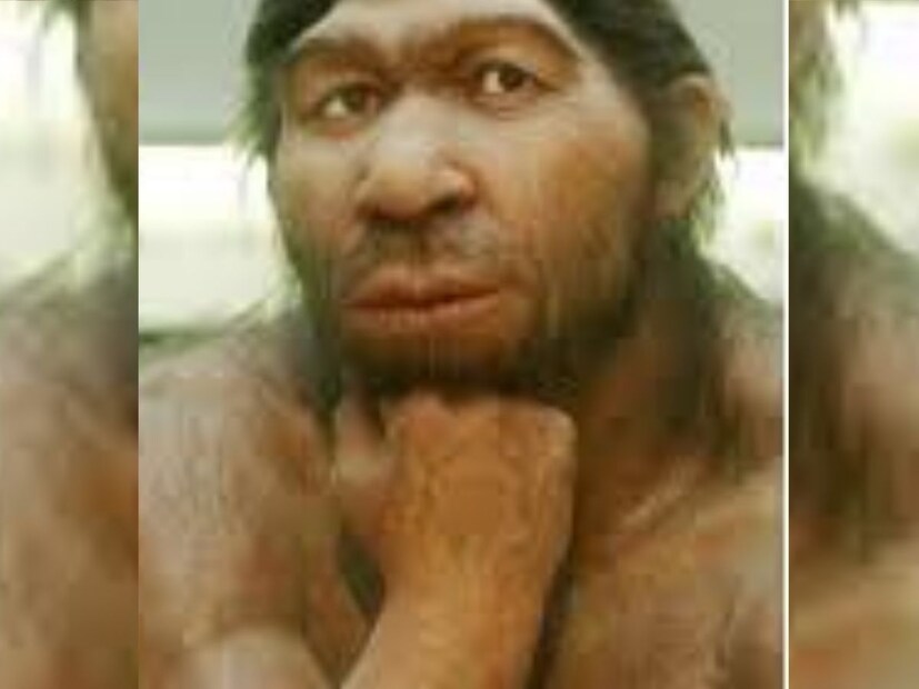 पण धरतीवरील पहिला माणूस विज्ञानानुसार जगातील पहिला मानव होमो हॅबिलिस होता. त्यांचे अवशेष आफ्रिकेत सापडले आणि त्यांचं वय सुमारे 2.8 ते 1.4 दशलक्ष वर्षे जुने आहे. होमो हॅबिलिस हा जगातील पहिला मानव मानला जातो, कारण हा पहिला प्राणी होता जो दोन पायांवर चालण्यास सक्षम होता.