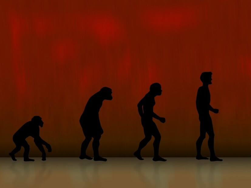 तुम्ही मानवाच्या विकासाबाबत शाळेच्या अभ्यासात वाचलंच असेल. त्यानुसार  होमो सेपियन्स हा आधुनिक मानवाचा पूर्वज मानला जातो. आज अस्तित्वात असलेल्या आपल्या सर्वांना होमो सेपियन मानलंं जातं. त्याच्या बुद्धिमत्तेचा सर्वाधिक विकास झाला.  होमो सेपियन्सचे अवशेषही आफ्रिकेत सापडले आहेत आणि त्यांचे वय सुमारे 3,00,000 वर्षे आहे.