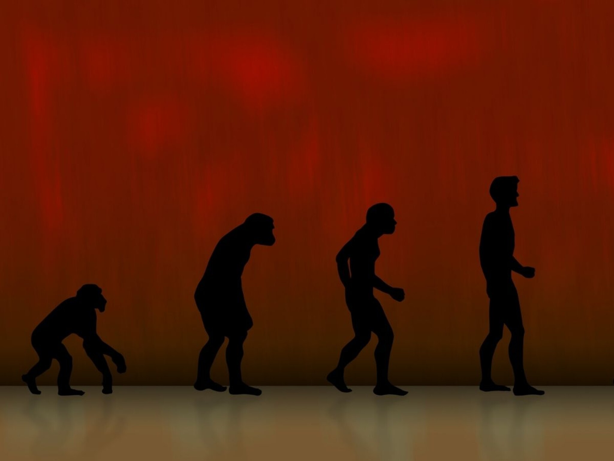 General Knowledge : धरतीवरील पहिला माणूस कोण? तो कुठे जन्माला आला?