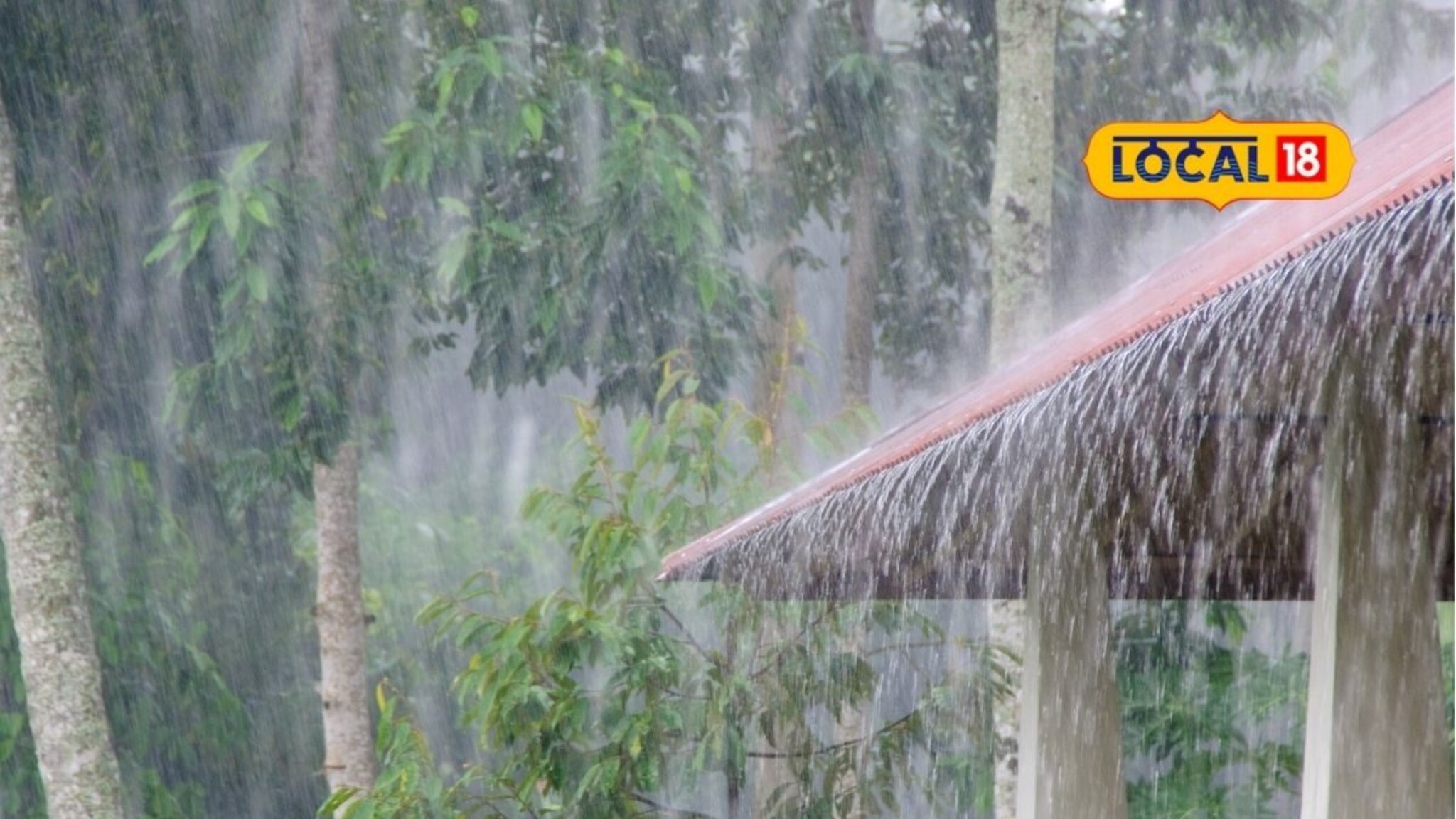 राज्यात रविवारचा दिवस मुसळधार पावसाचा, 7 जिल्ह्यांना अलर्ट