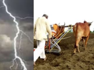 शेतात पेरणी करताना वीज पडली