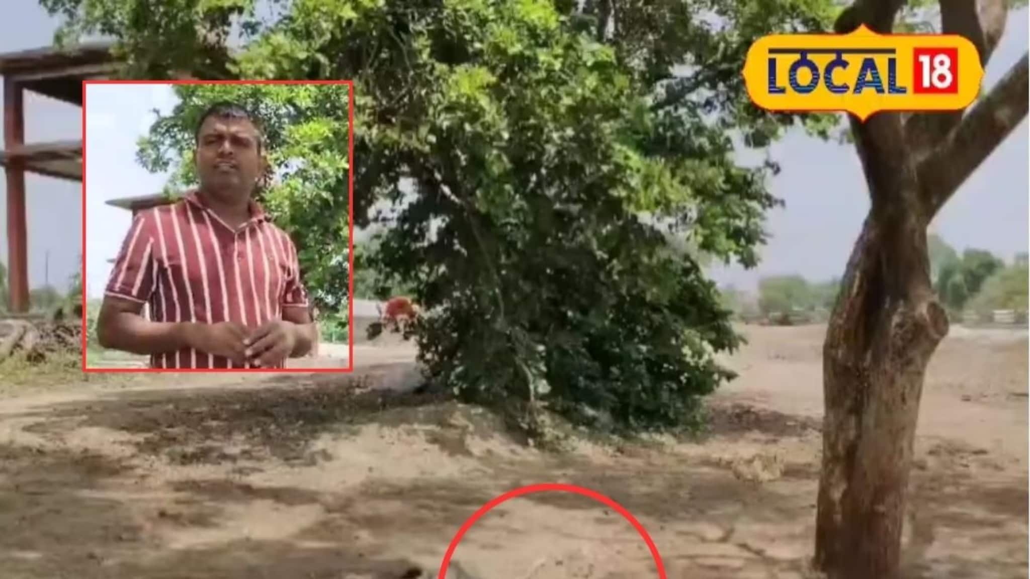 माकड मेल्याचा फोन आला, देवीदास हातातलं काम सोडून पोहोचला, त्या कृतीचं कराल कौतुक!