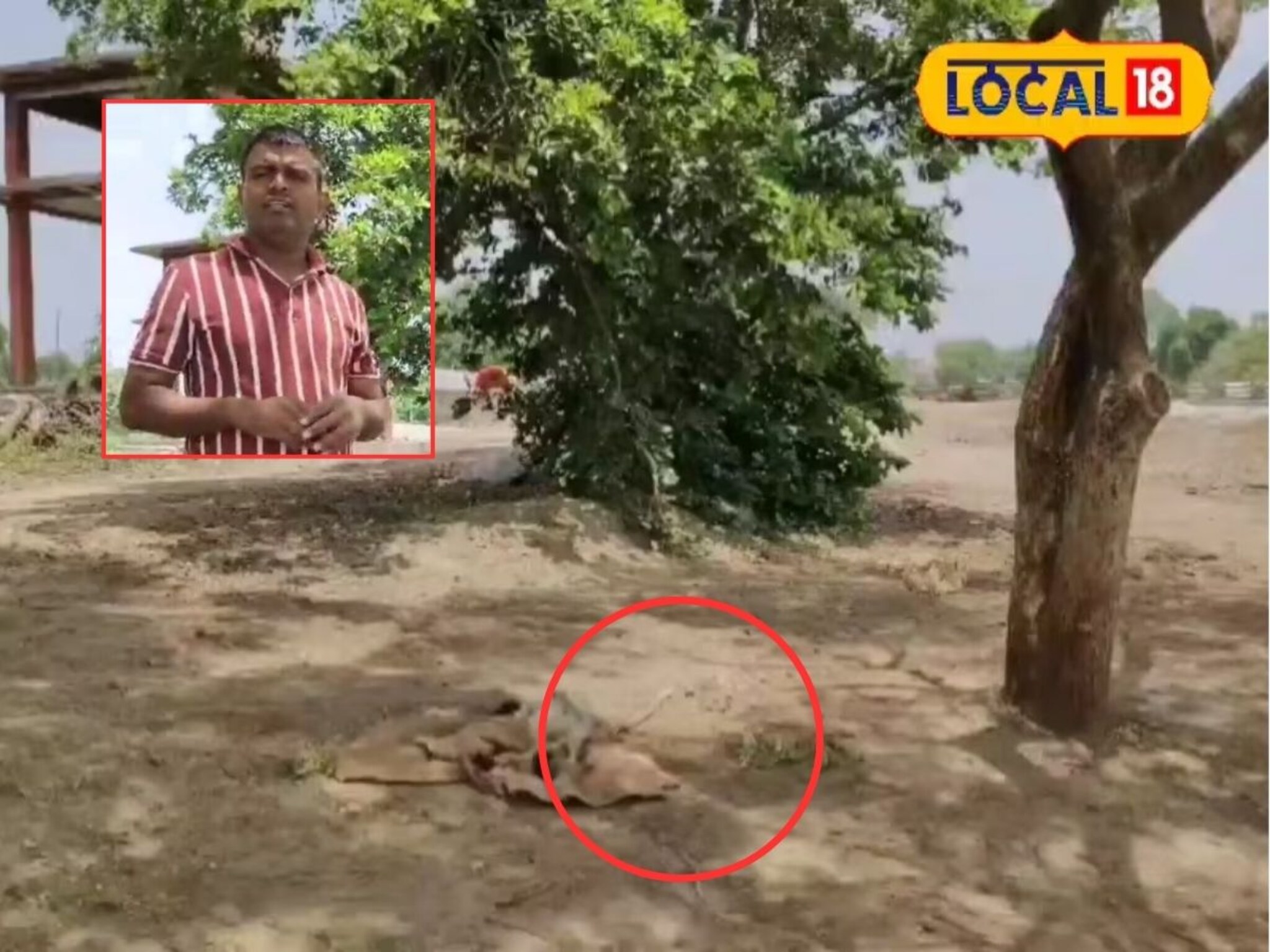 माकड मेल्याचा फोन आला, देवीदास हातातलं काम सोडून पोहोचला, त्या कृतीचं कराल कौतुक!